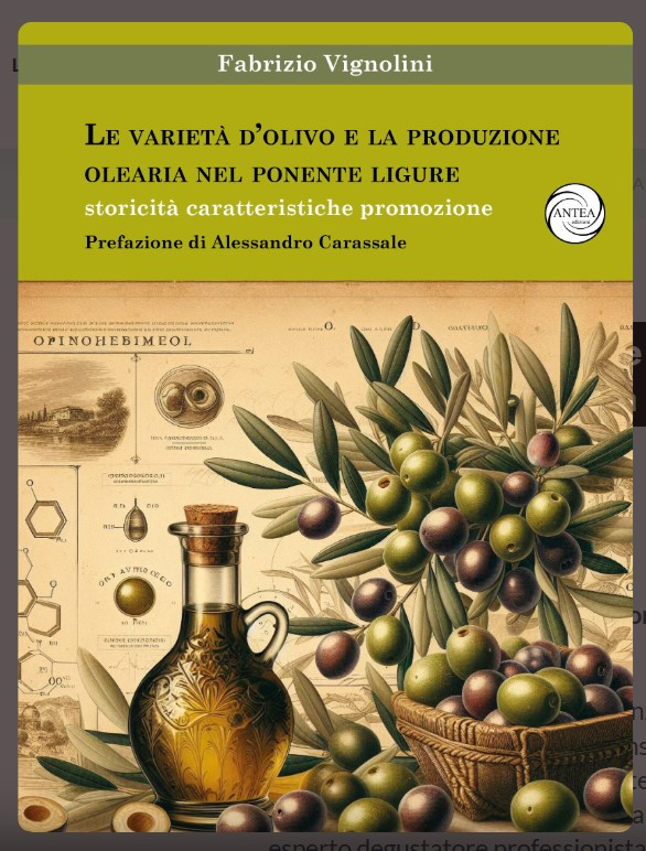 LA VARIETA D OLIVO E LA PRODUZIONE OLEARIA NEL PONENTE LIGURE