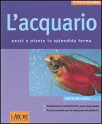 ACQUARIO