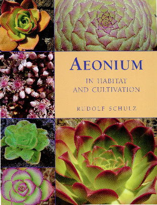 AEONIUM IN HABITAT AND CULTIVATION