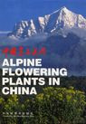 ALPINE FLOWERING PLANTS IN CHINA