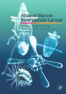 ATLAS OF MARINE INVERTEBRATE LARVAE