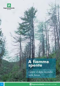 A FIAMME SPENTE