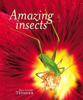 AMAZING INSECTS