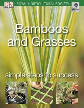 BAMBOOS & GRASSES