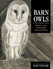 BARN OWLS