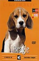 BEAGLE DVD