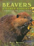 BEAVERS & OTHER RODENTS