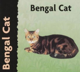 BENGAL CAT