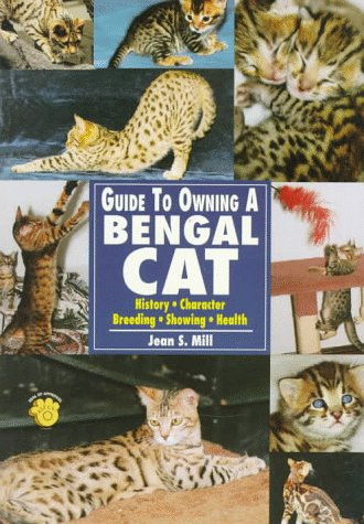 BENGAL CAT,GUIDE TO OWING