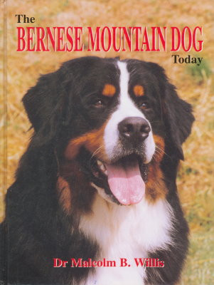 BERNESE MOUNTAIN DOG TODAY