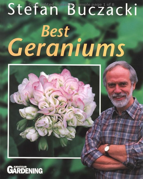 BEST GERANIUMS+++