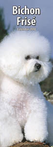 BICHON FRISE 2010