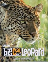 BIG CAT LEOPARD