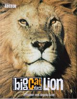 BIG CAT LION