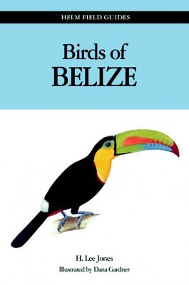 BIRDS OF BELIZE