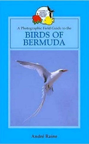 BIRDS OF BERMUDA