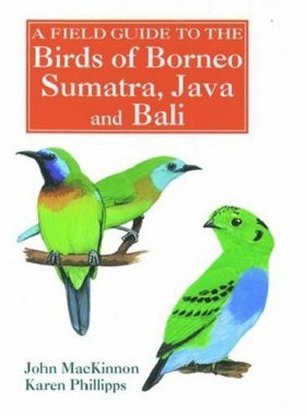 BIRDS OF BORNEO,SUMATRA,JAVA AND BALI