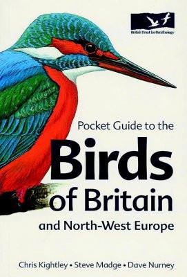 BIRDS OF BRITAIN AND NORTH-WEST EUROPE