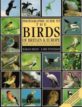 BIRDS OF BRITAIN AND EUROPE