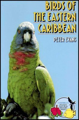 BIRDS OF EASTERN CARIBBEAN