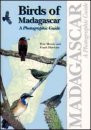 BIRDS OF MADAGASCAR