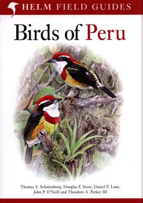 BIRDS OF PERU