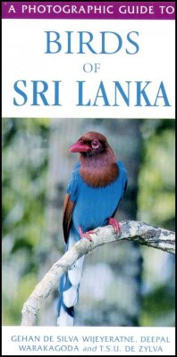 BIRDS OF SRI LANKA