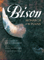 BISON MONARCH OF THE PLAINS