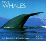 BLUE WHALES