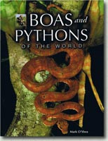 BOAS AND PYTHONS OF THE WORLD