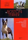 BOSTON TERRIER