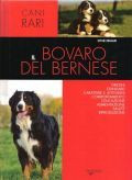 BOVARO DEL BERNESE