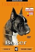 BOXER DVD