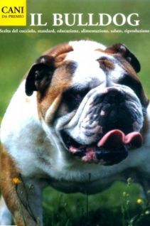 BULLDOG