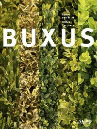 BUXUS (BOSSO)+++
