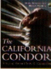 CALIFORNIA CONDOR