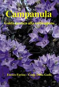 CAMPANULA
