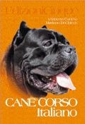 CANE CORSO ITALIANO