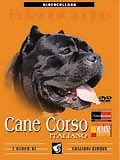 CANE CORSO DVD