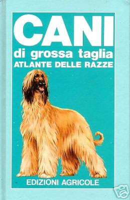 CANI DI GROSSA TAGLIA