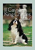 CAVALIER KING CHARLES