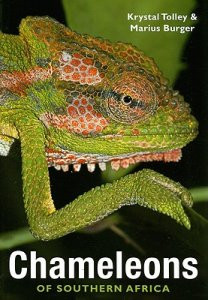 CHAMELEONS OF SOUTHERN AFRICA