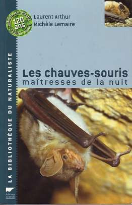 CHAUVES-SOURIS (PIPISTRELLO)