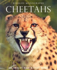 CHEETAHS