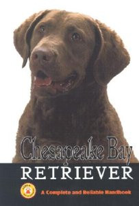 CHESPEAK BAY RETRIVER