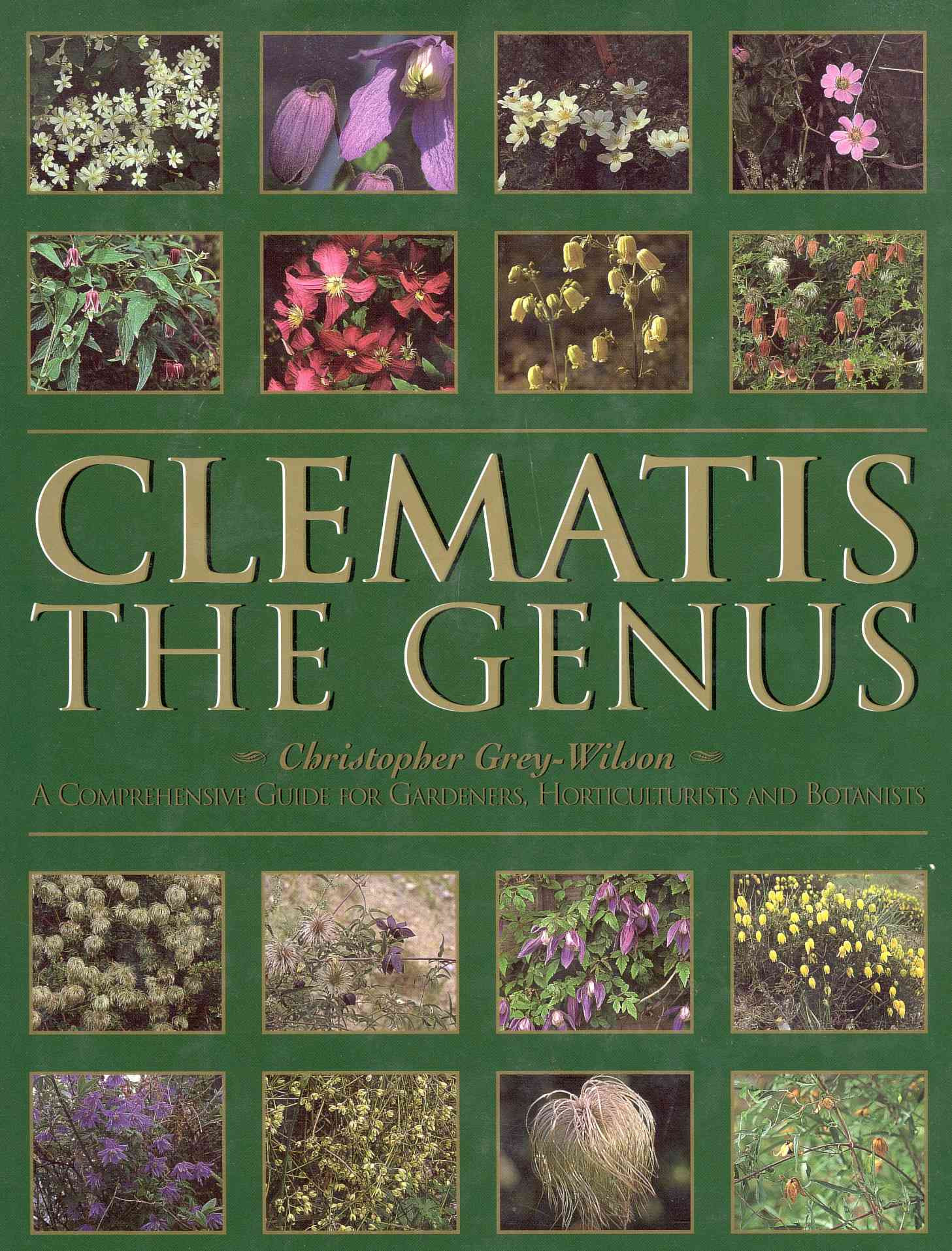 CLEMATIS. THE GENUS.
