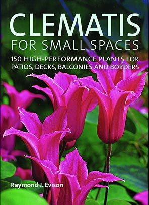 CLEMATIS FOR SMALL SPACES