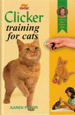 CLICKER TRAINING FOR CATS