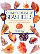 COMPENDIUM OF SEASHELLS