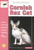 CORNISH REX CAT,GUIDE TO OWING
